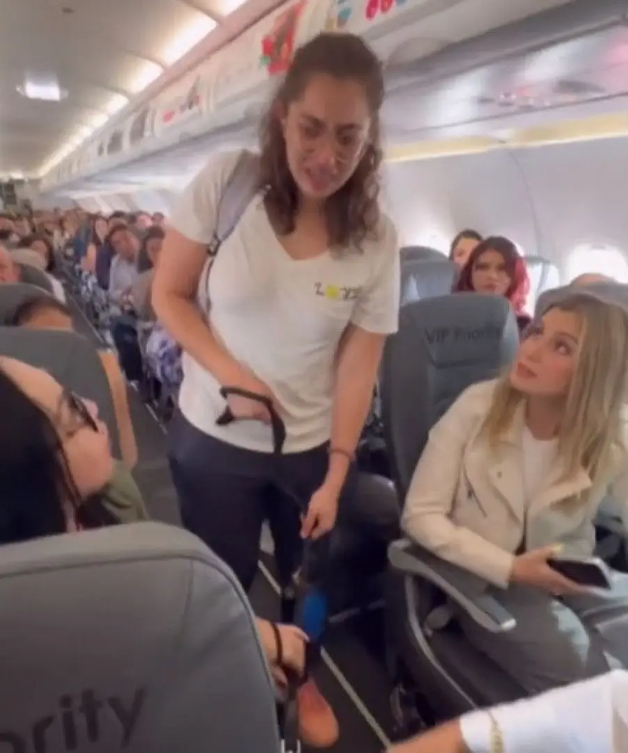 Momento gera discórdia: mulher transporta cão de apoio emocional e é expulsa de avião