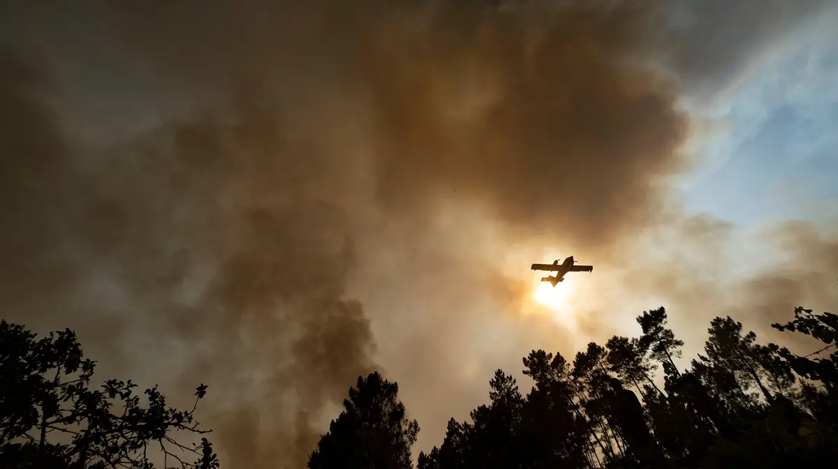 Aeronave no combate aos fogos em Portugal