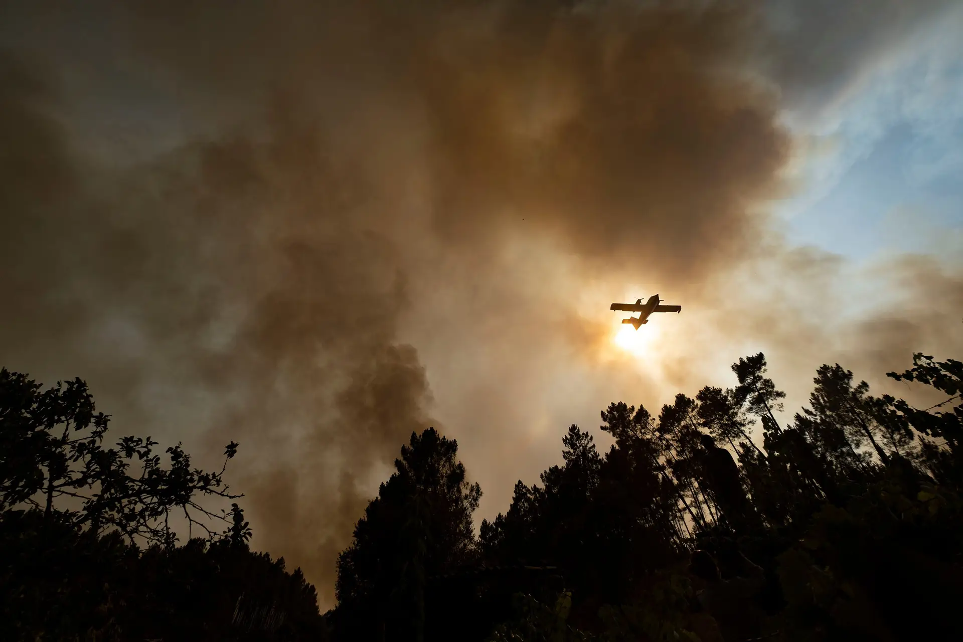 Aeronave no combate aos fogos em Portugal