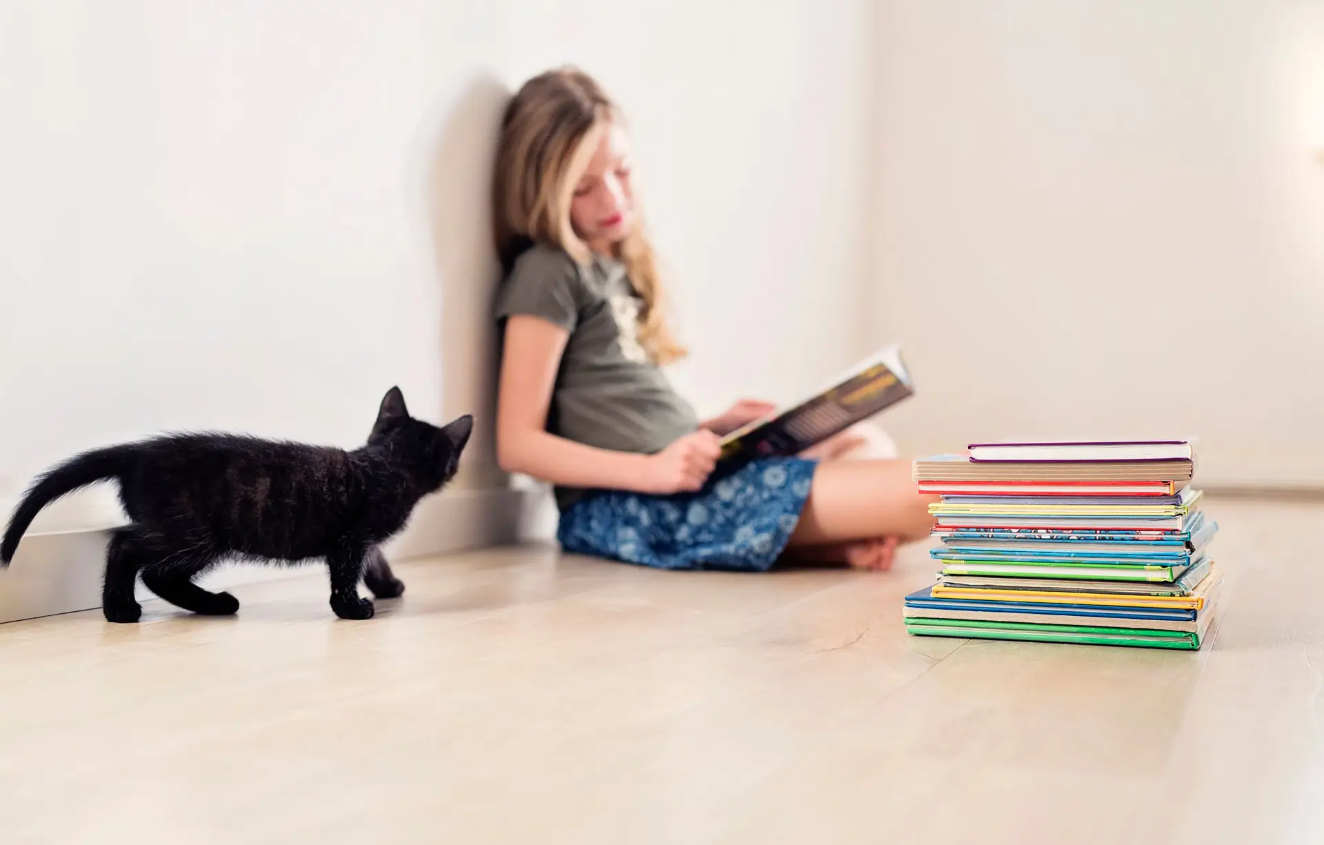 O que acontece no cérebro quando lemos?