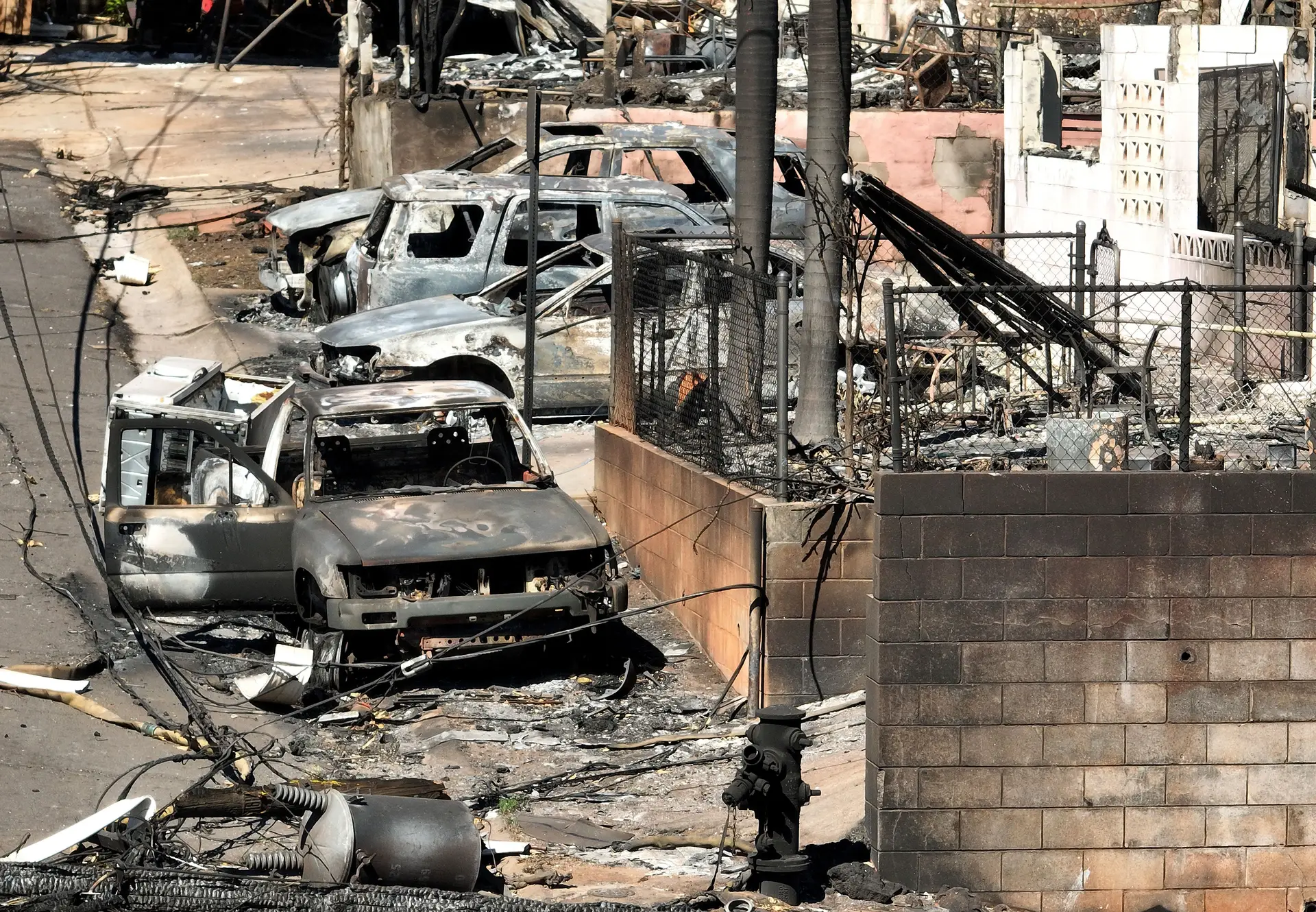 Fogos no Havai: ainda estão desaparecidas 338 pessoas