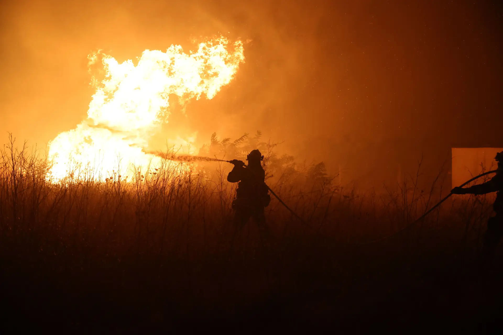 Incêndios na Grécia: autoridades encontram 26 cadáveres