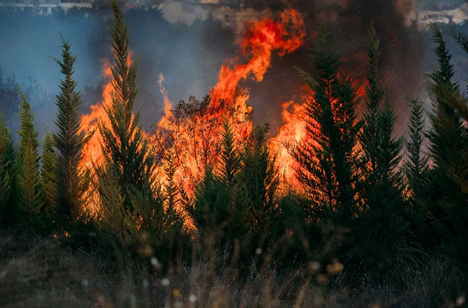 Mais de 100 concelhos em perigo máximo de incêndio