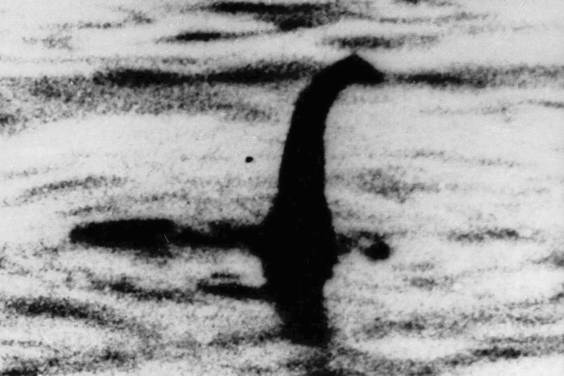 Google avista monstro de Loch Ness - Tecnologia - Correio da Manhã