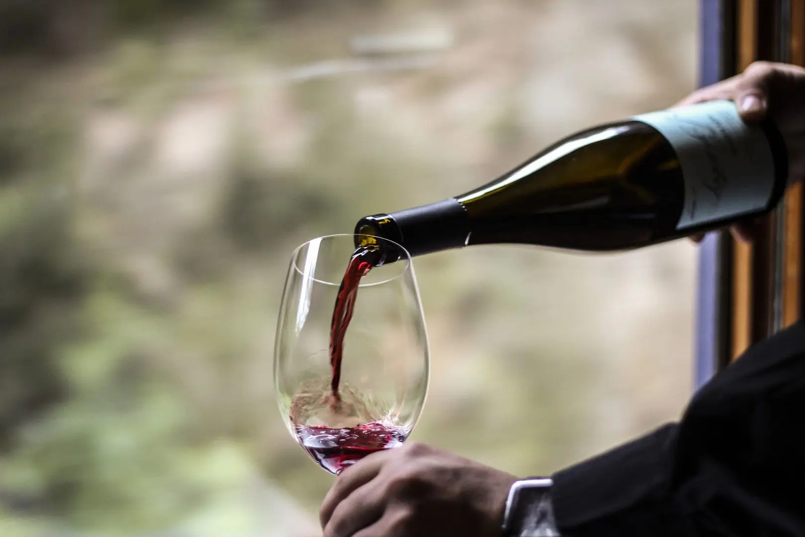 Gosta de vinho? Estes estão entre os melhores dos melhores