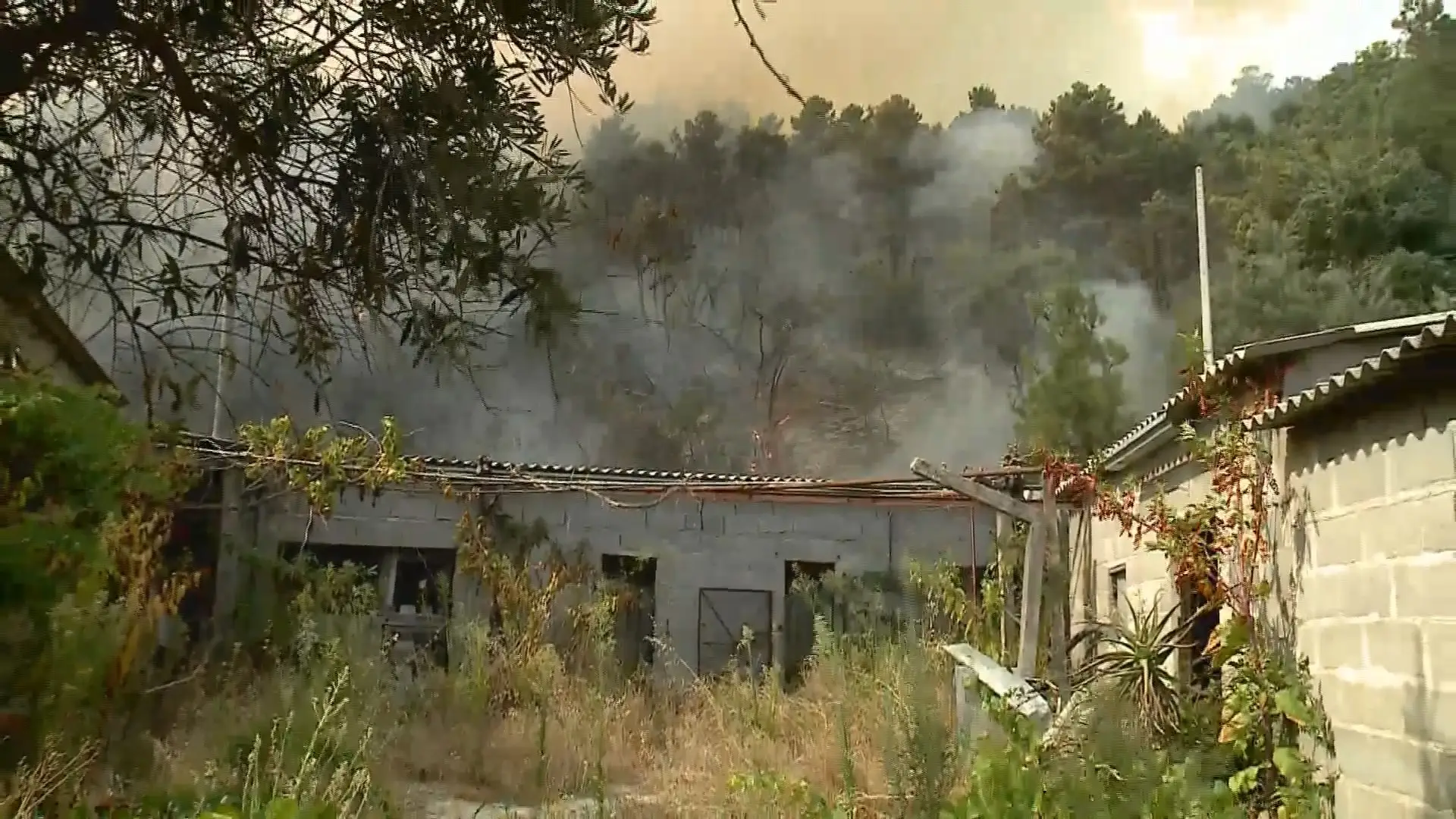 Incêndio no Fundão corta linha ferroviária da Beira Baixa e estrada nacional