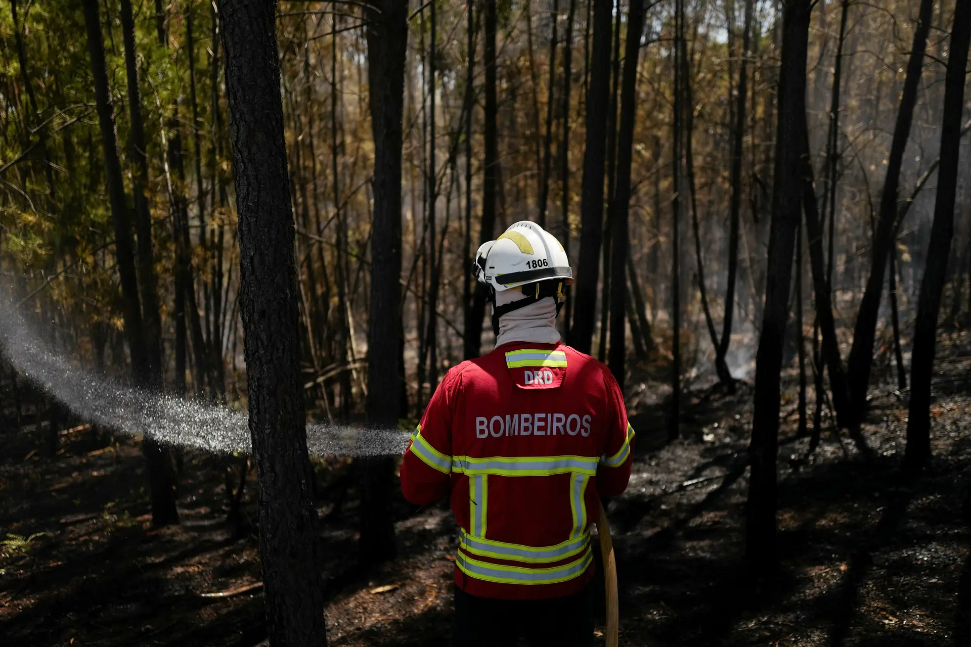 Tavira está em risco máximo de incêndio, 26 concelhos do país em risco muito elevado