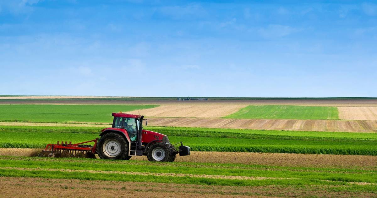 Les agriculteurs considèrent l'aide extraordinaire sur le gazole agricole insuffisante