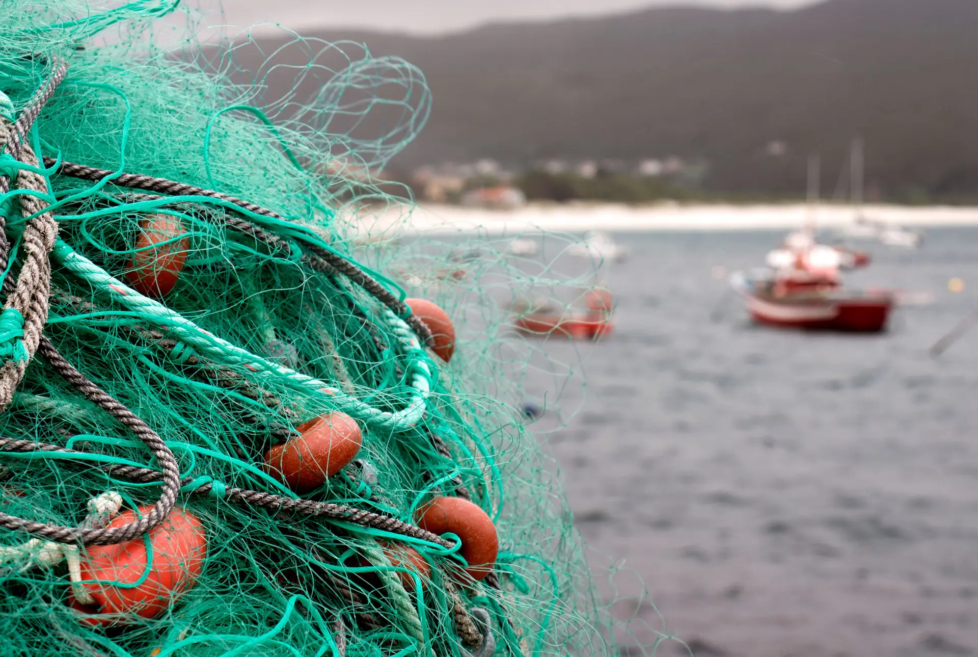 Maratona europeia das pescas termina com acordo positivo para Portugal