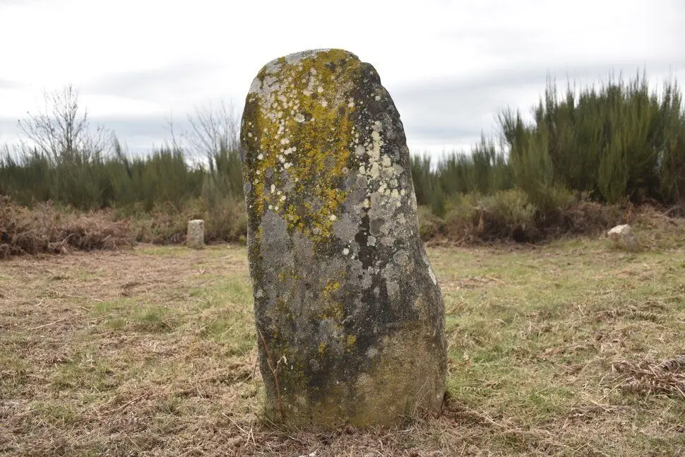 Estátua-menir em Moimenta da Beira