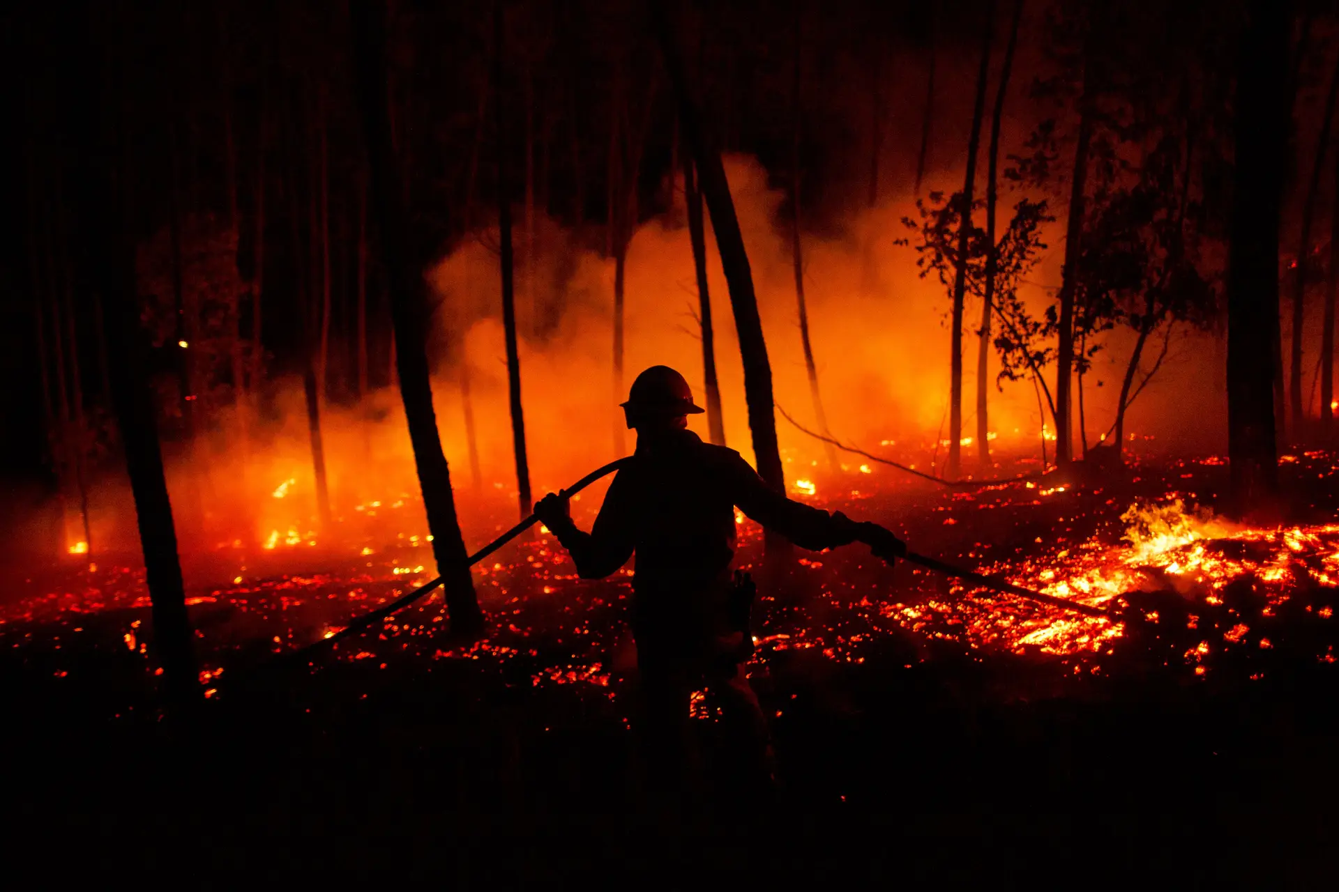 Gravado em Portugal documentário finlandês sobre incêndios e alterações climáticas