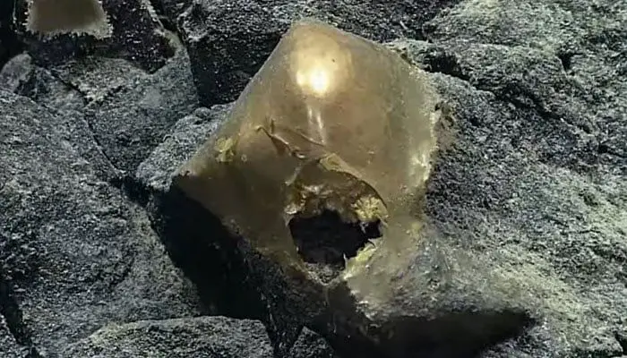 Cientistas encontram objeto misterioso no fundo do oceano