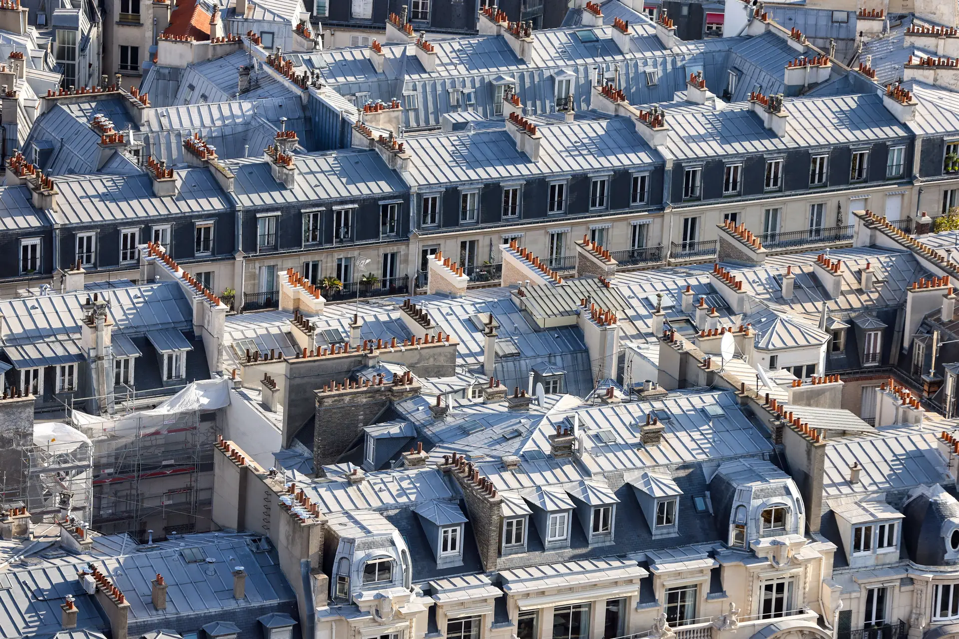 Porque estão os franceses a pintar os telhados e edifícios de branco?