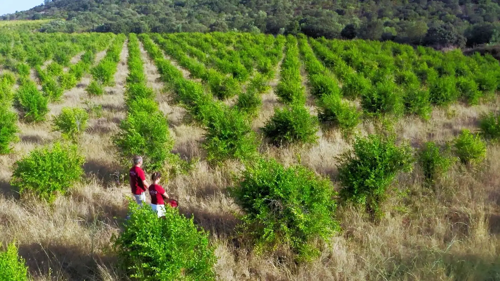 Está de volta o prémio que apoia a evolução do sector agroalimentar