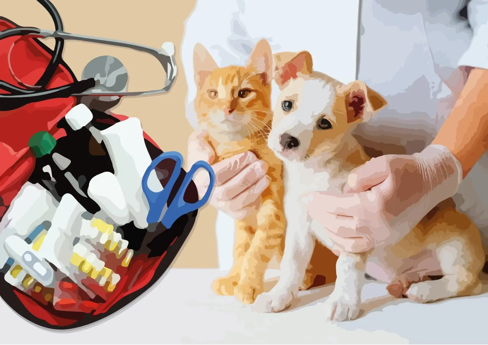 Primeiros socorros para animais: como agir em caso de emergência