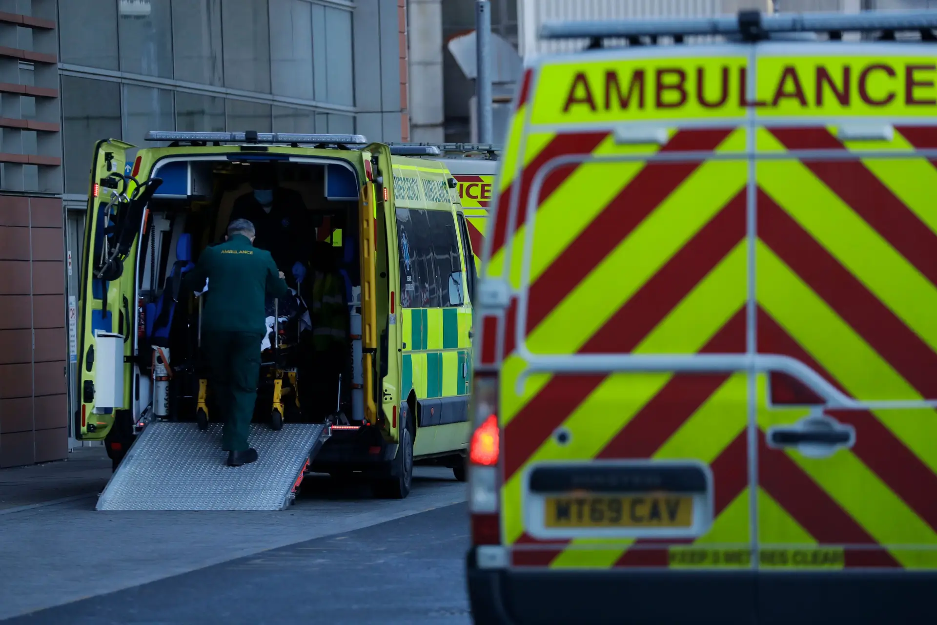 Homem morre após ataque de dois cães em Inglaterra