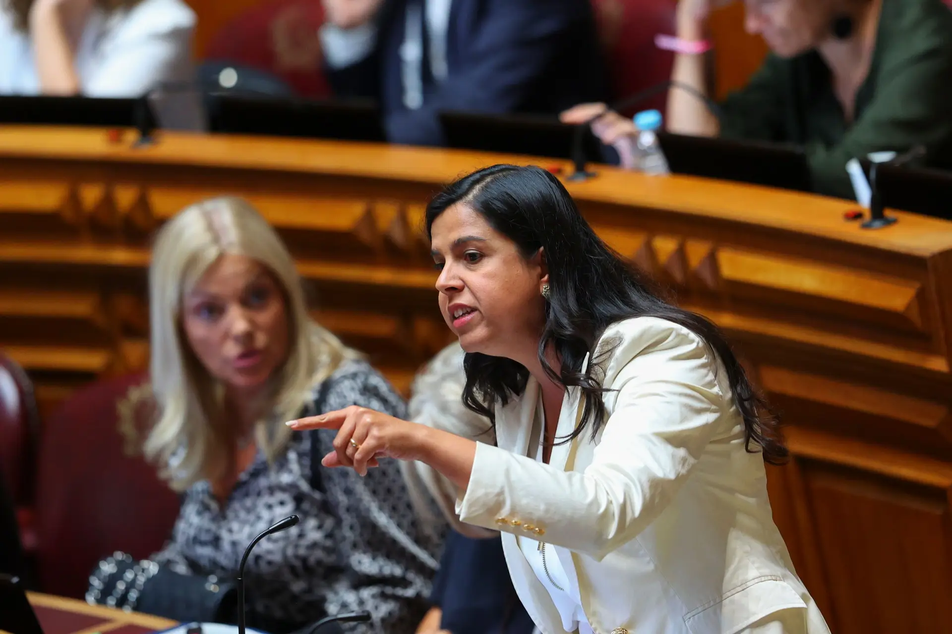 Operação Influencer: PAN defende que Santos Silva devia ter ouvido partidos antes de se pronunciar