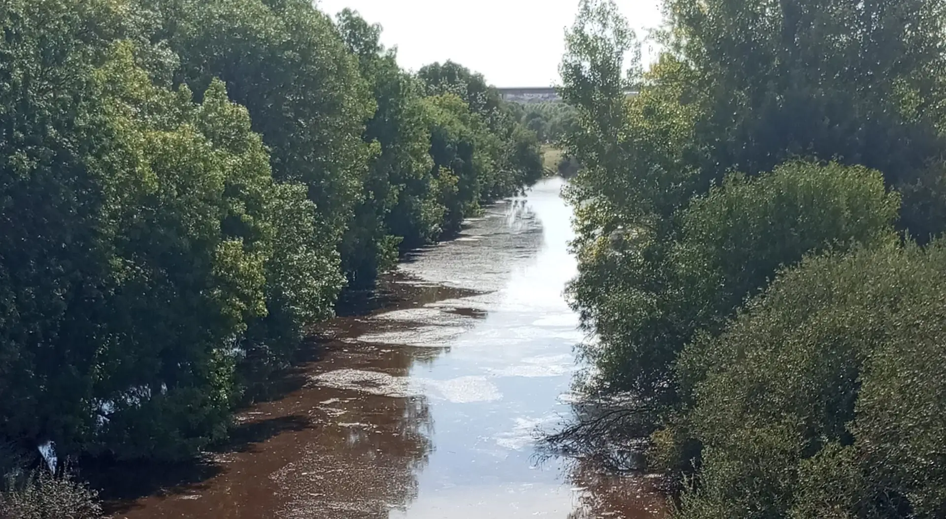 Rio Caia