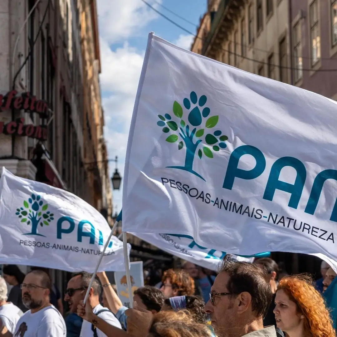 Pan's former PAN list by Vice has removed direction due to differences with leadership