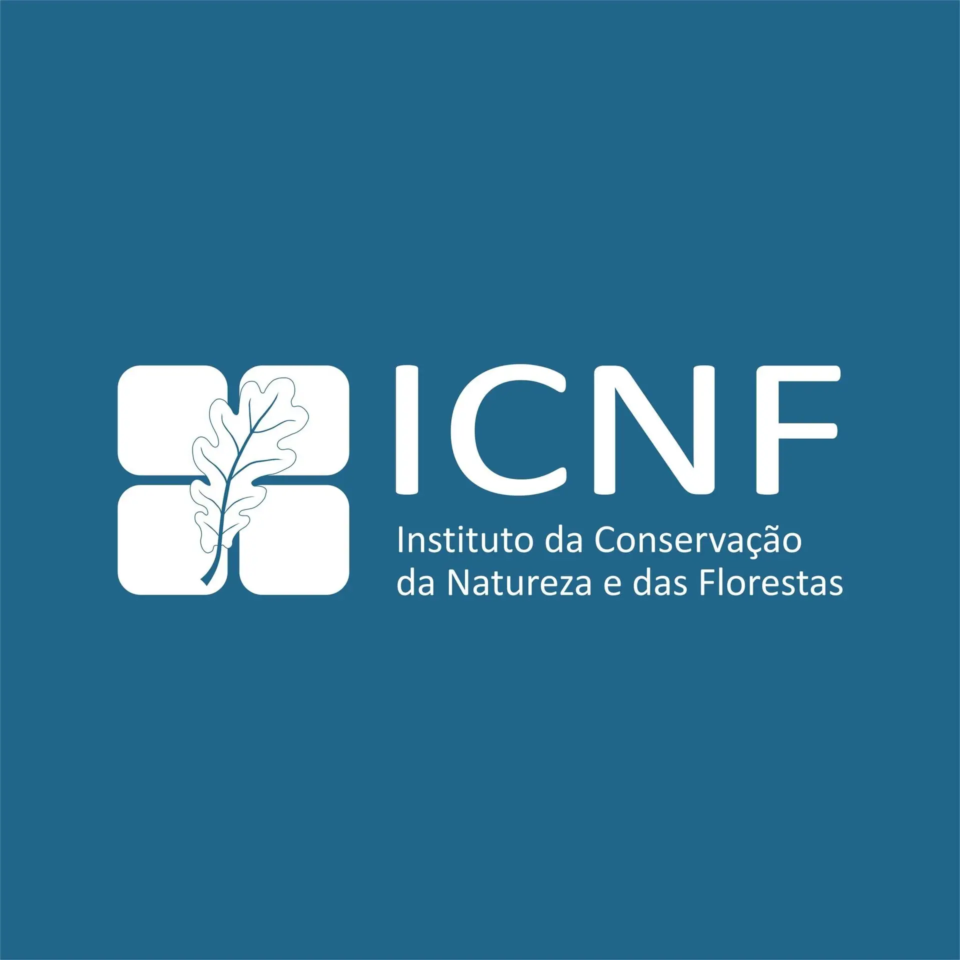 Trabalhadores do ICNF em greve a 27 de outubro por melhores condições de trabalho