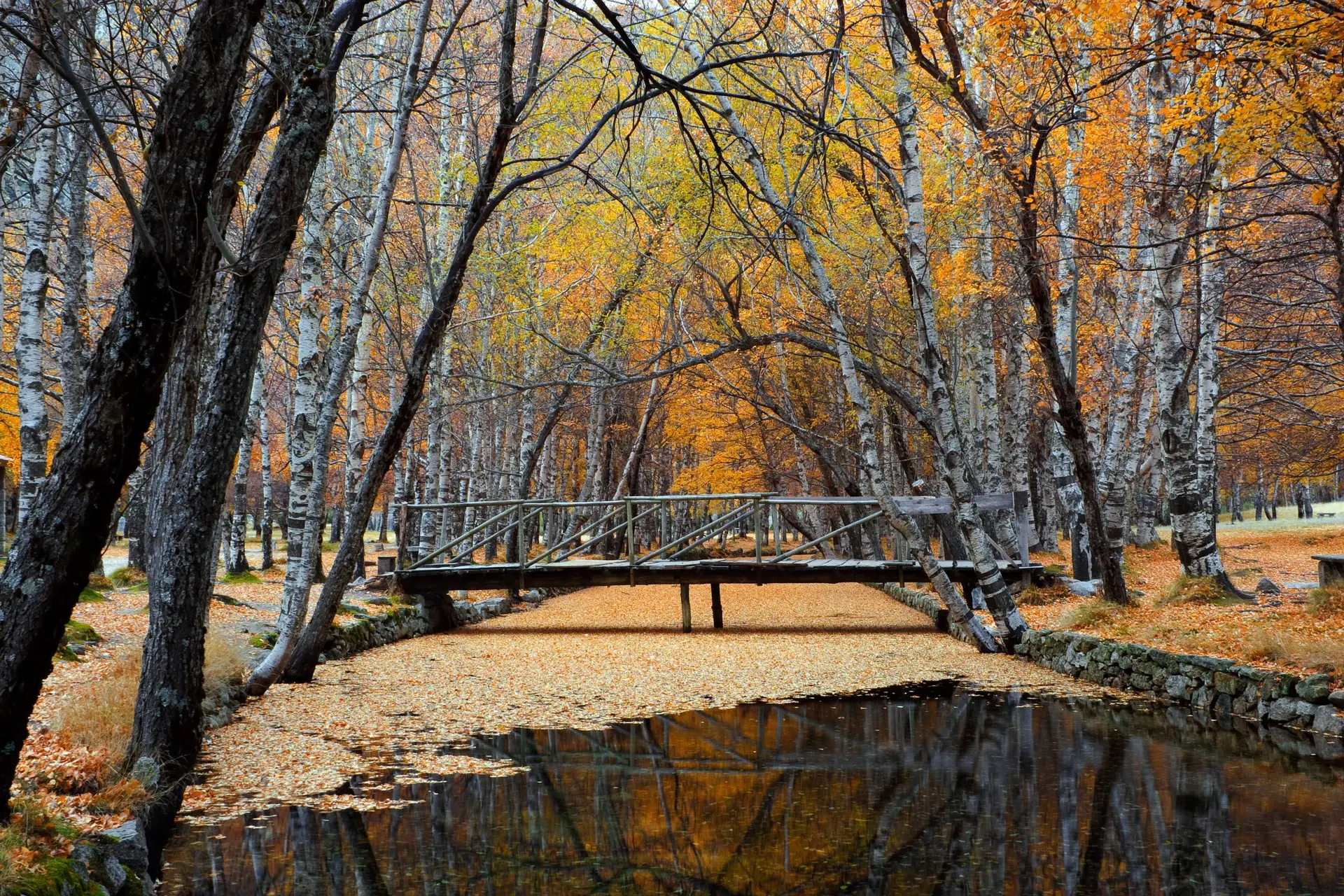 Serra da Estrela: terapia em contacto direto com a natureza