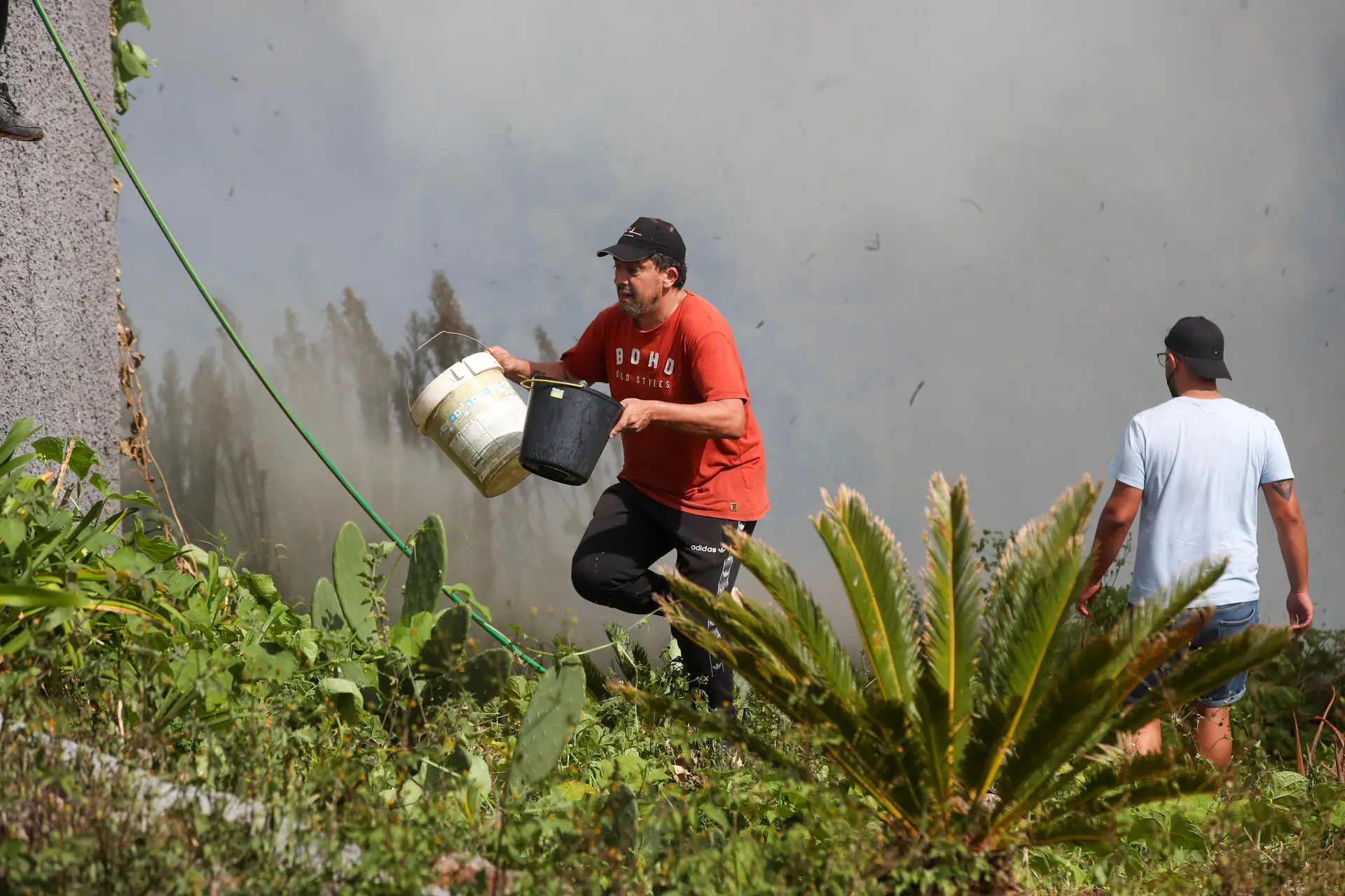 Incêndios na Madeira: dezenas de pessoas retiradas de casa em Porto Moniz