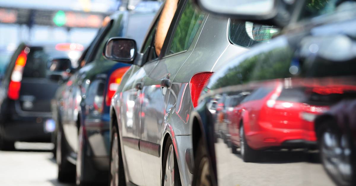 Il traffico a Sintra è condizionato a causa dell'abbattimento di pini colpiti da un fungo