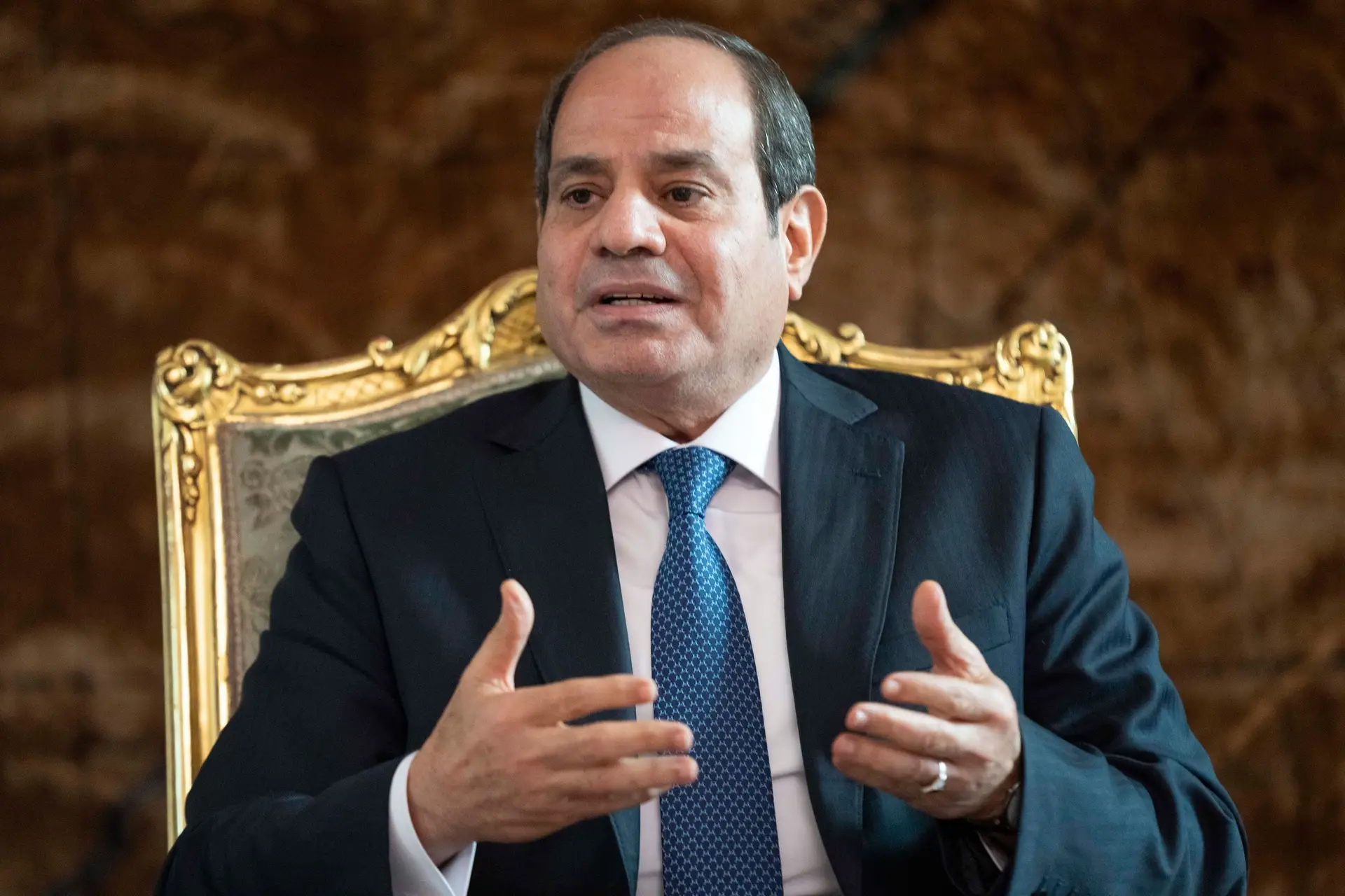 Abdel Fattah al-Sissi, Presidente do Egito 
