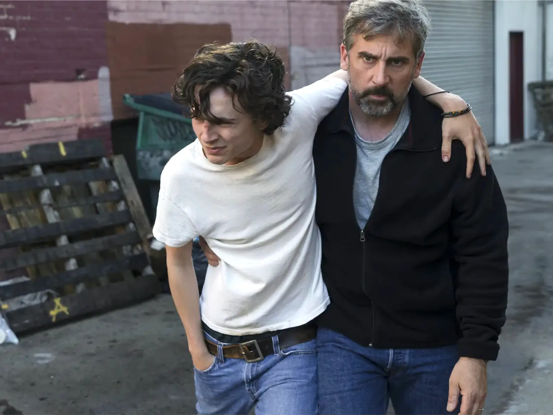 Timothée Chalamet e Steve Carell: memórias dramáticas de uma relação pai/filho