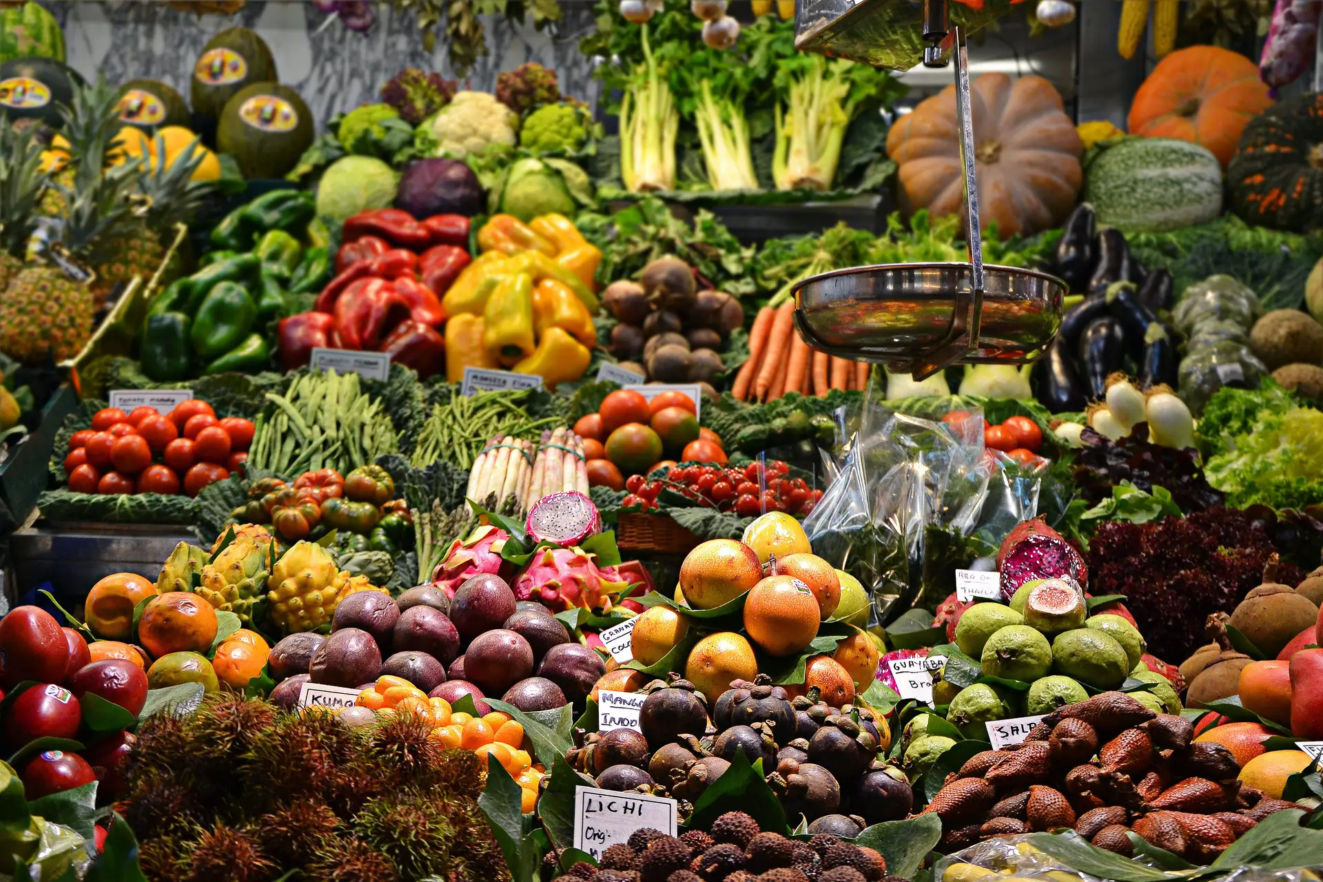OE2024: refeições escolares passam a ter fruta da época (e das diversas regiões do país)
