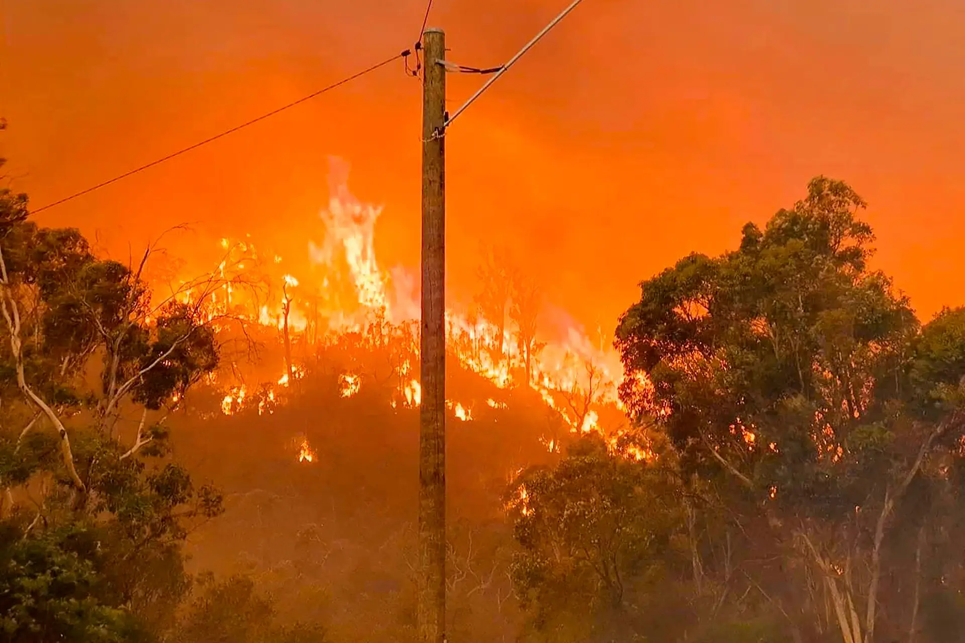Onda de incêndios atinge costa leste da Austrália