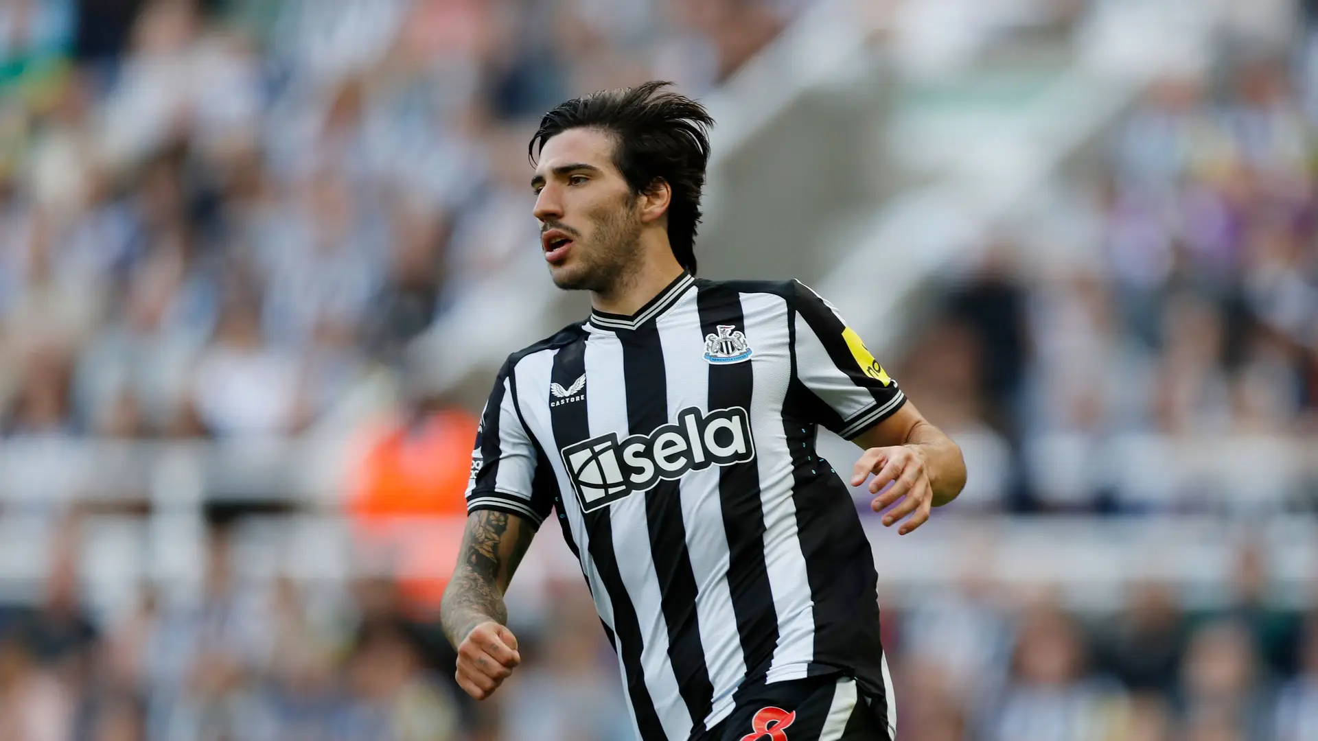 Apostas ilegais? Newcastle diz contar com Tonali