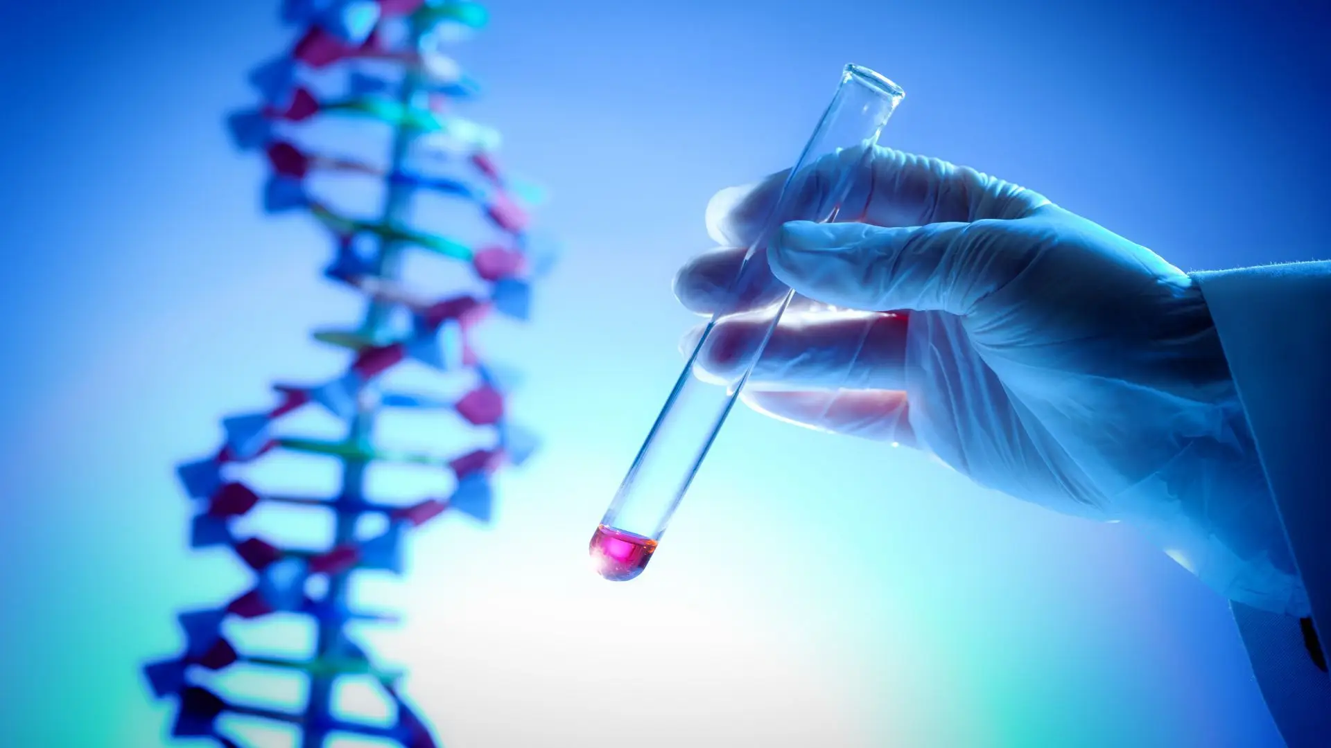 "Néctares do futuro": investigadores testam bebidas para prevenir doenças cardiovasculares