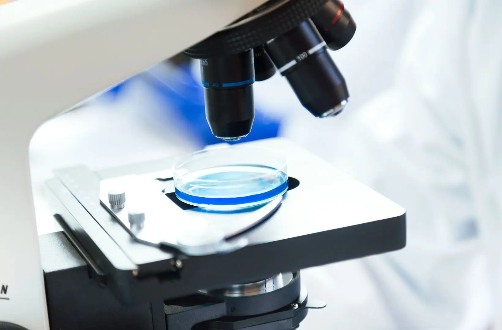 Investigadores criam molécula sintética "altamente eficaz" contra superbactérias