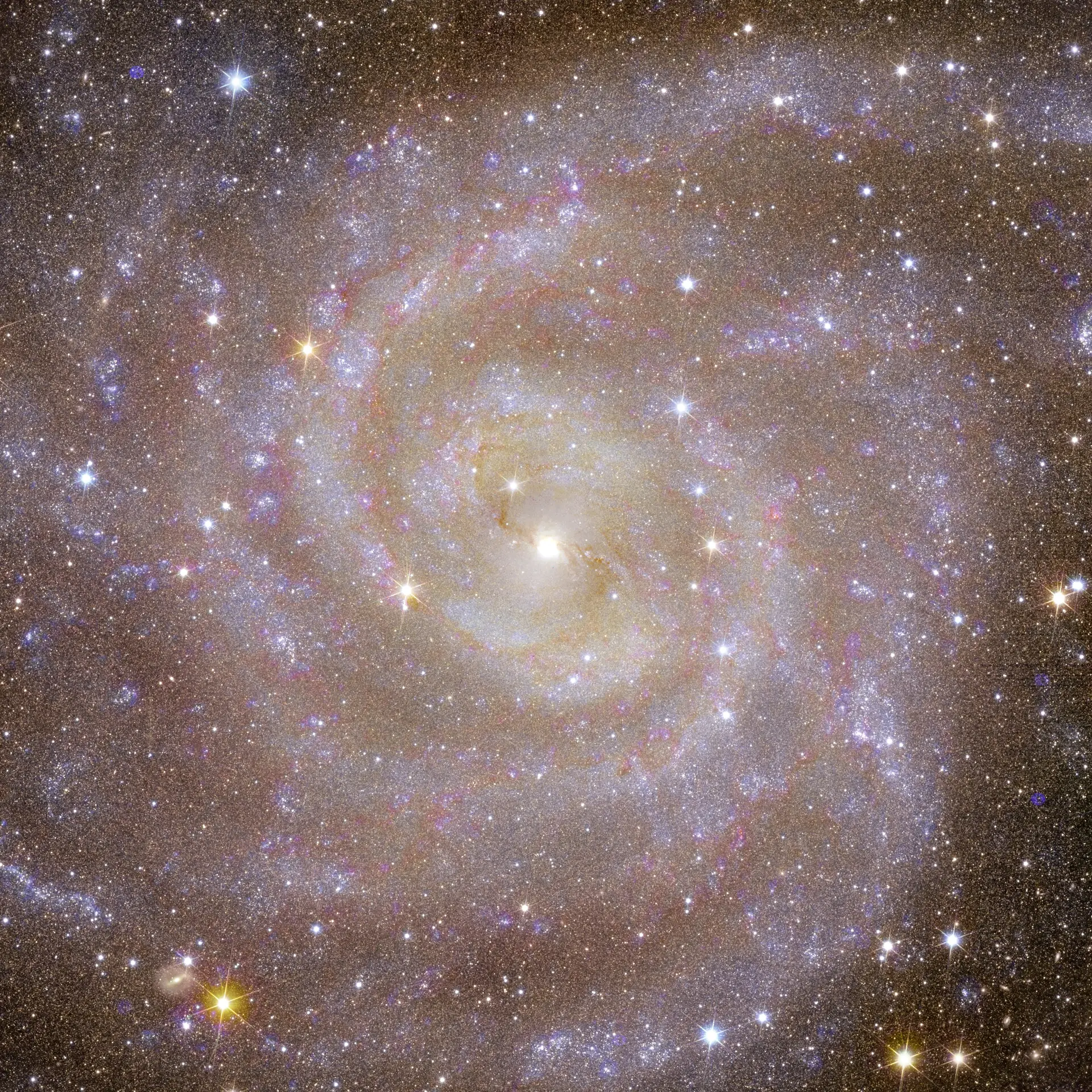 Galáxia Oculta, Galáxia espiral IC 342 ou Caldwell 5