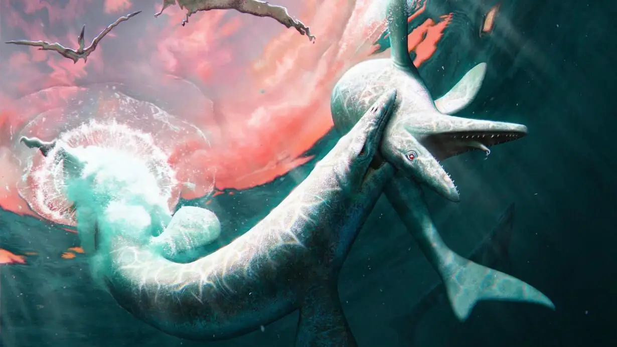 Uma reconstrução de dois mosassauros Jormungandr wahallaensis a lutar