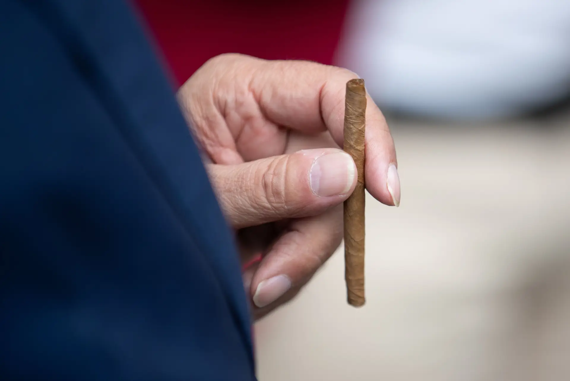 Cigarrilha