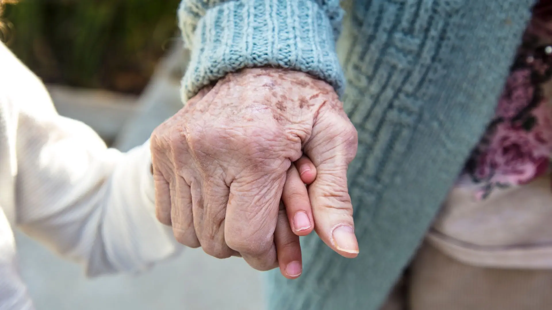 Complemento Solidário para Idosos o que é, quem tem direito e quanto se recebe? SIC Notícias