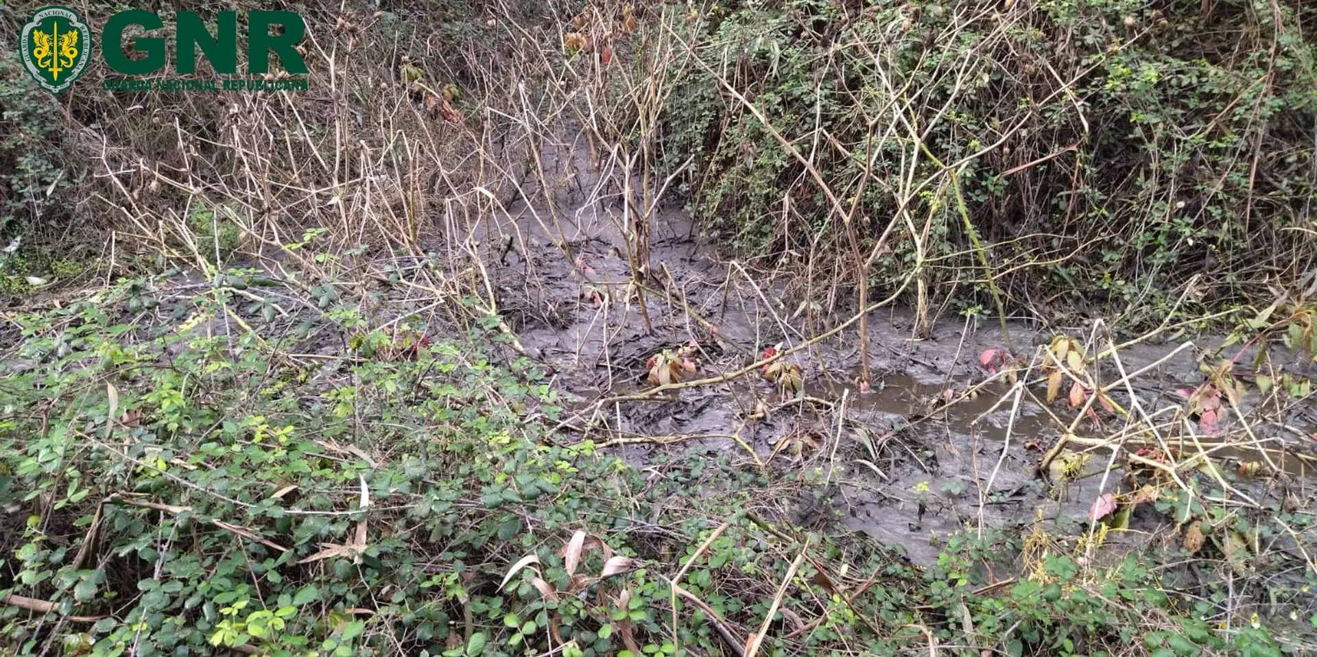 GNR deteta em flagrante descarga ilegal em Porto de Mós