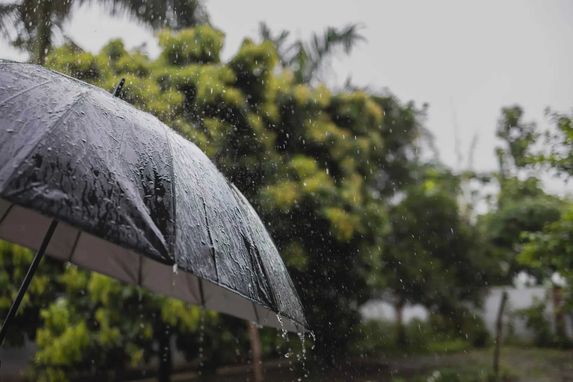 Prepare o chapéu: Guarda e Viseu sob aviso amarelo devido a chuva forte