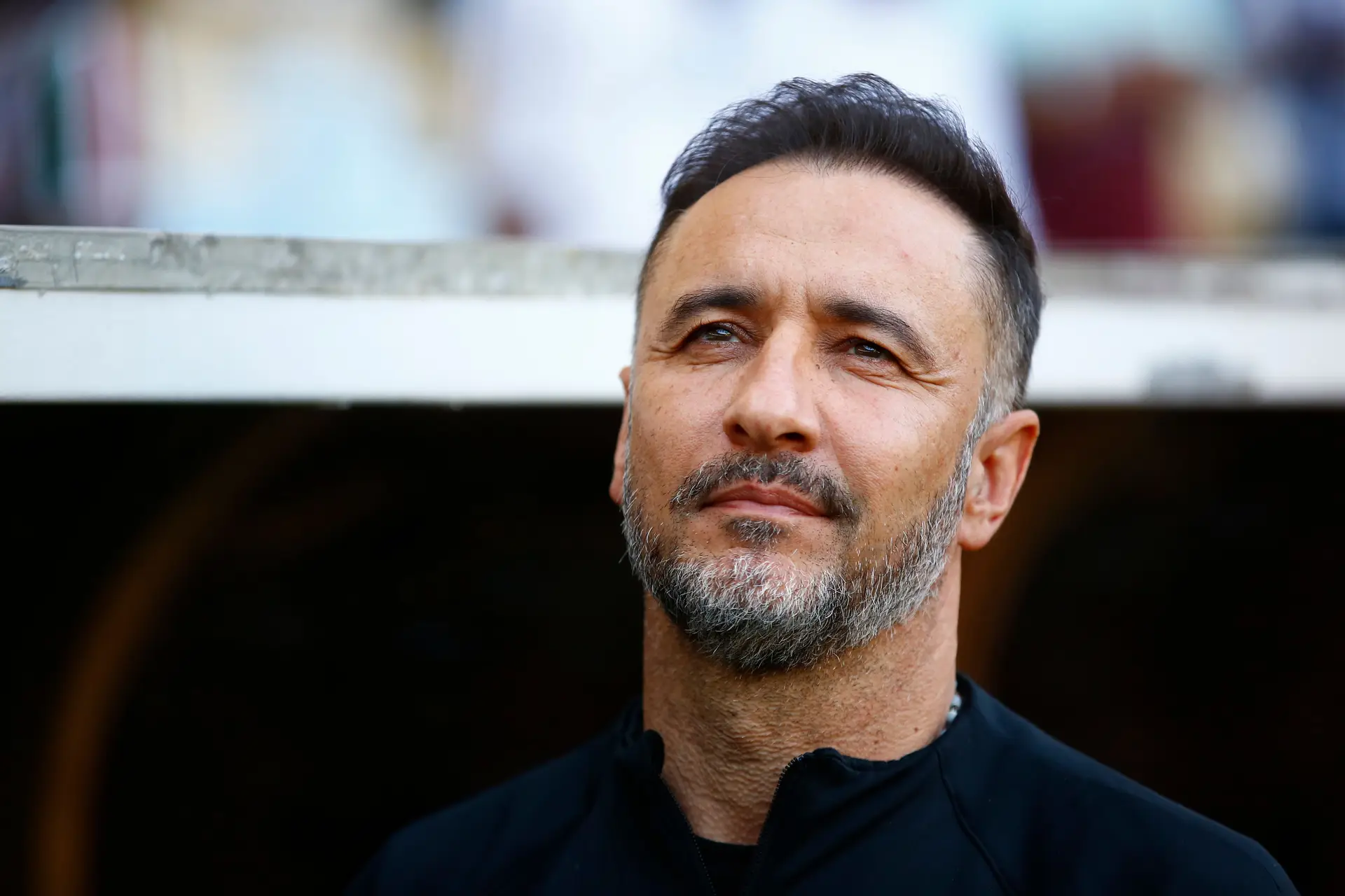Vítor Pereira confirmado como novo treinador do Wolverhampton