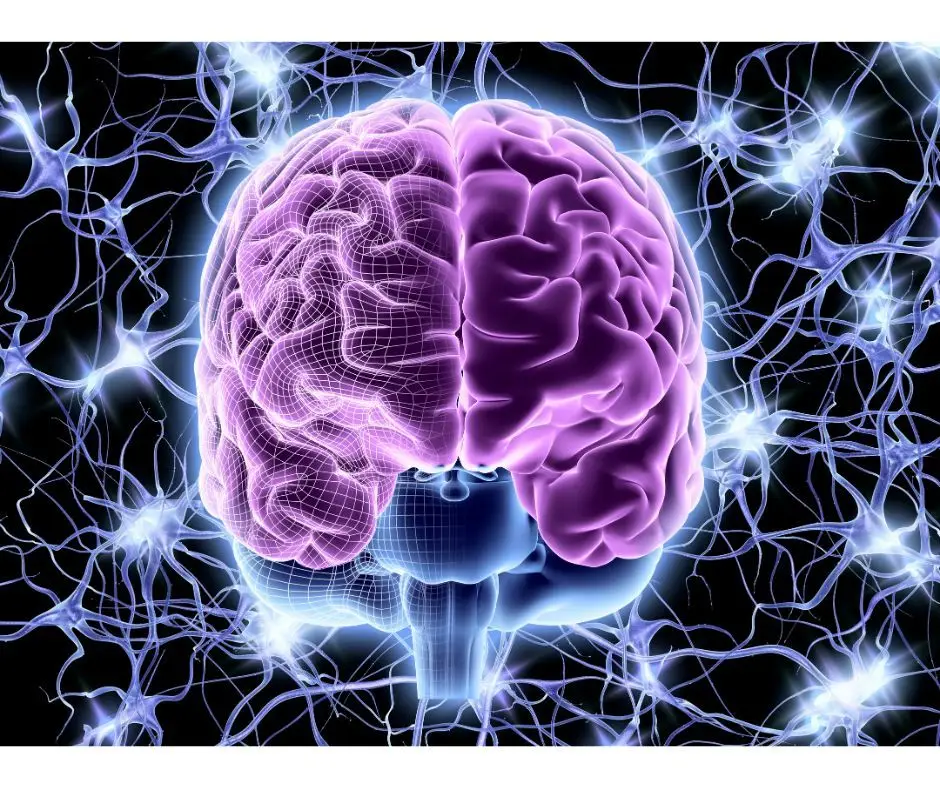 Como funciona o cérebro das pessoas com surdez congénita?