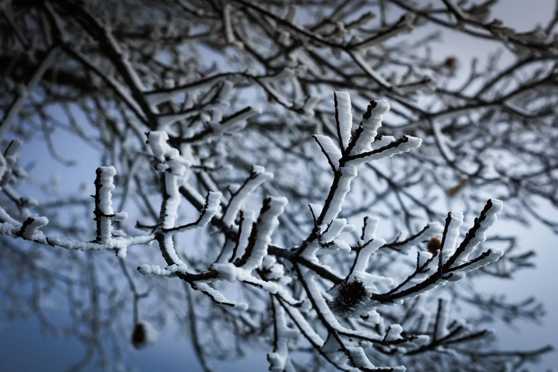 Prepare-se para a depressão Juan, que traz chuva e neve a Portugal