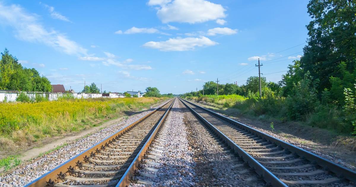 Circulação retomada na Linha do Sul em Alcácer do Sal após queda de árvore