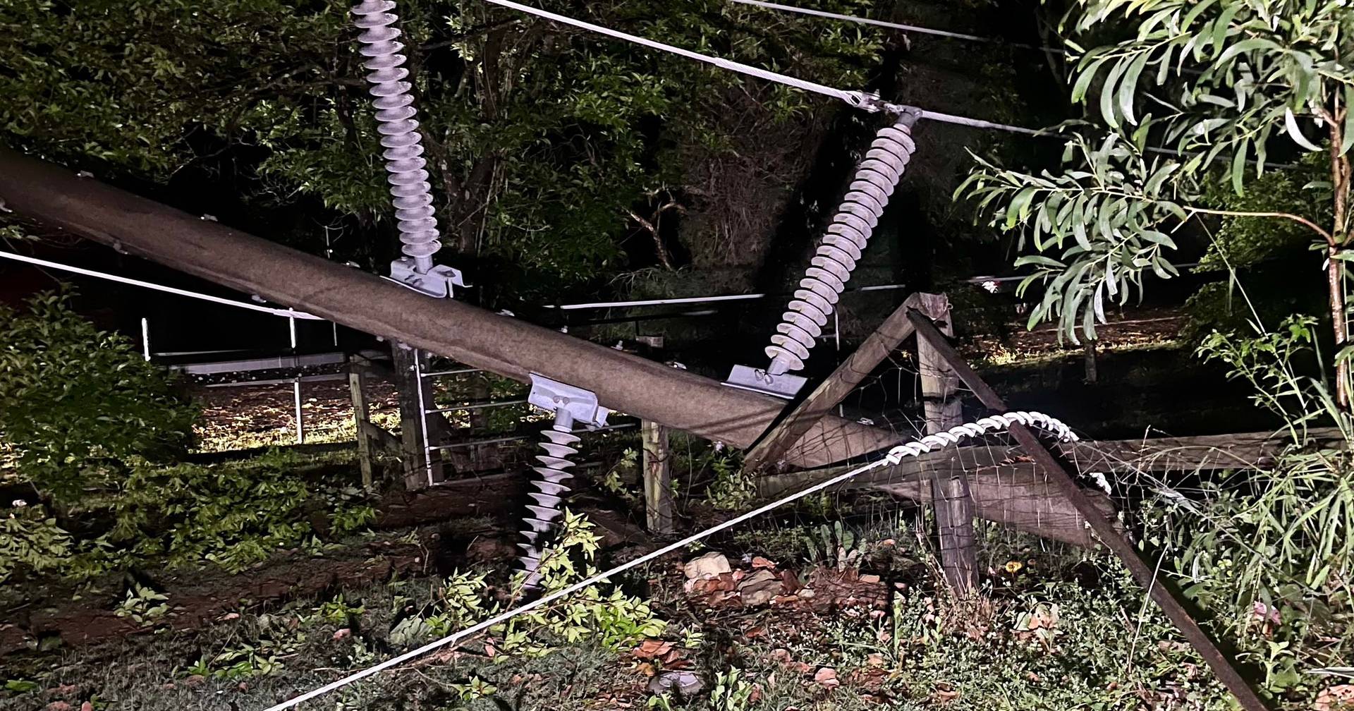 Temporal na Austrália: mulher morre atingida por árvore