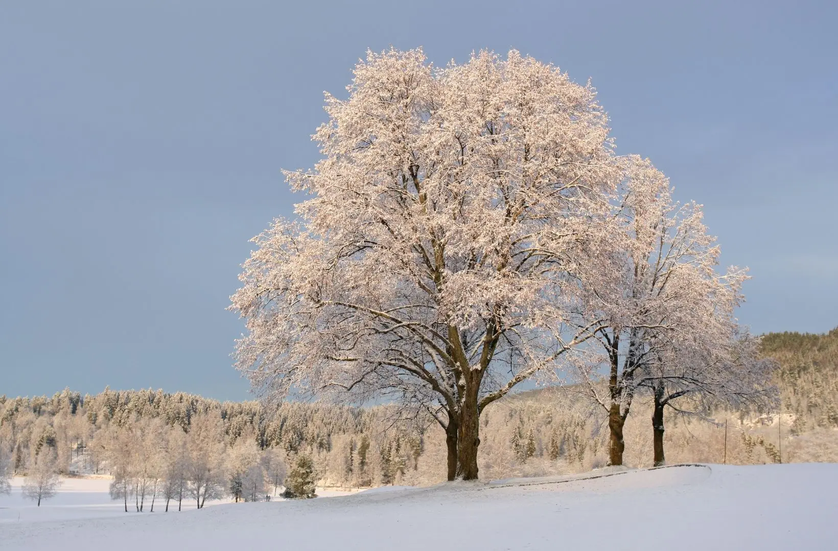 Oslo regista pela primeira vez temperatura abaixo de -30ºC