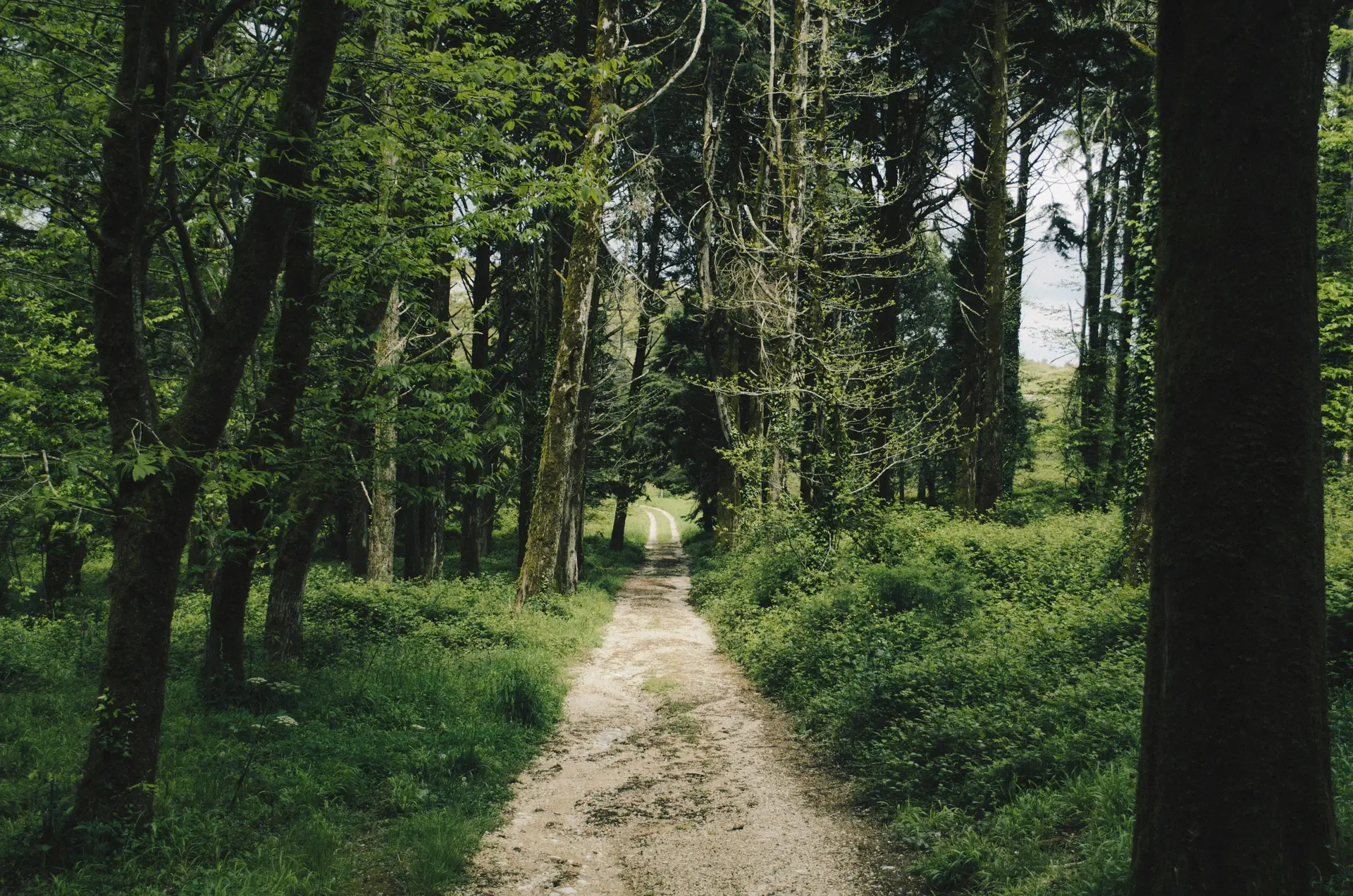Castanheira de Pera arranca (já em janeiro) programa anual de caminhadas