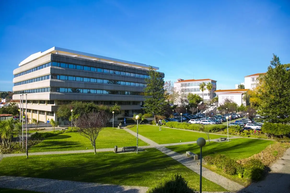 Universidade Católica esclarece agressões a jornalista durante evento com André Ventura