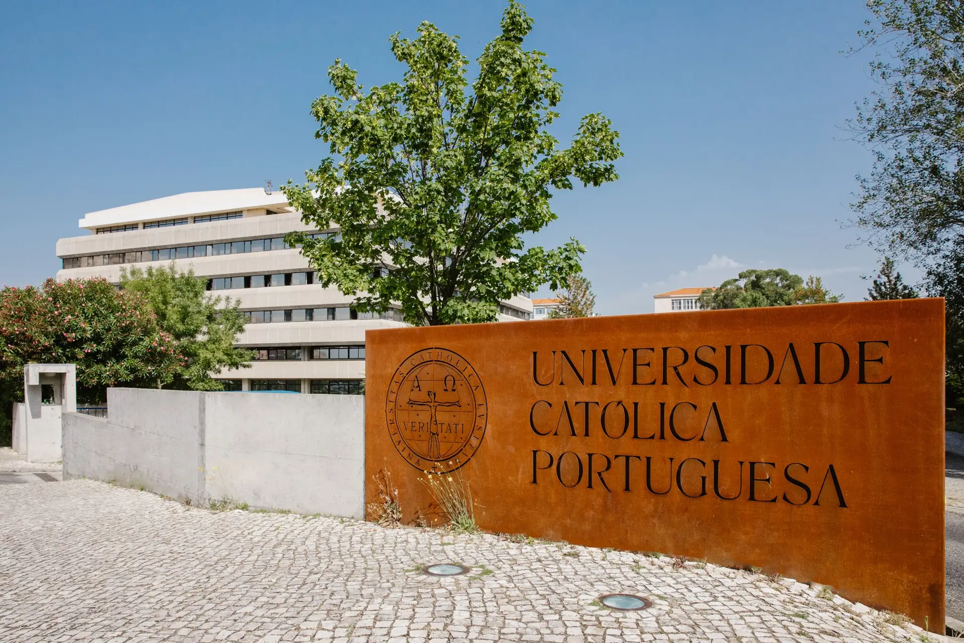 Sindicato vai questionar Universidade Católica e Ventura sobre agressões a jornalista