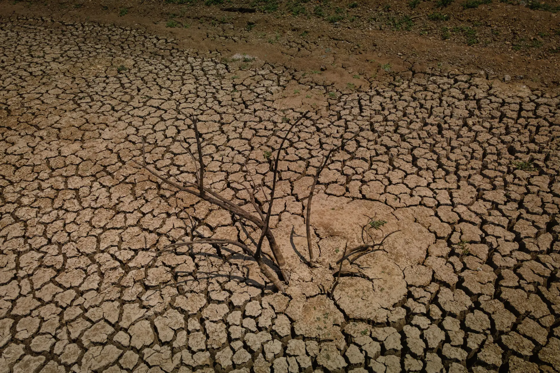 "Ameaça existencial": agricultores algarvios contestam cortes de água em carta ao primeiro-ministro